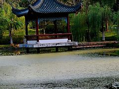 -月湖风景区