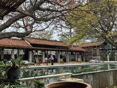 -喜洲吧·江畔老船厂·庭院餐厅(喜临院店)