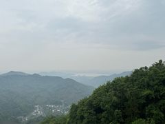 -阿巧茶庄