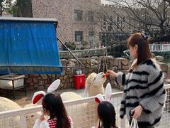 -J Create城市露营咖啡·简餐·宠物(上海动物园店)