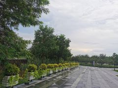 -上海山野camping·户外天幕烧烤·团建拓展营地