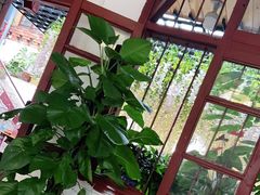 -阿鹏故事云南野生菌火锅(人民路店)