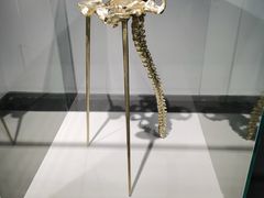 -中国地质博物馆