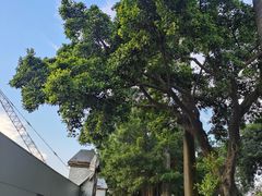 -番禺广场(市桥街道)