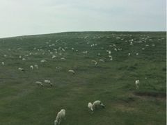iphone_upload_pic-木兰围场