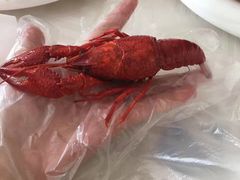 -小李子油焖大虾(天下城旗舰店)