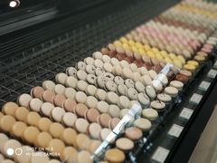 餐饮设施-罗红摄影艺术馆