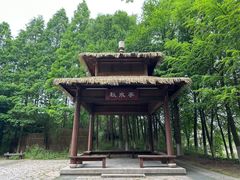 -苏州太湖国家湿地公园