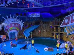 -烟台海昌鲸鲨海洋公园