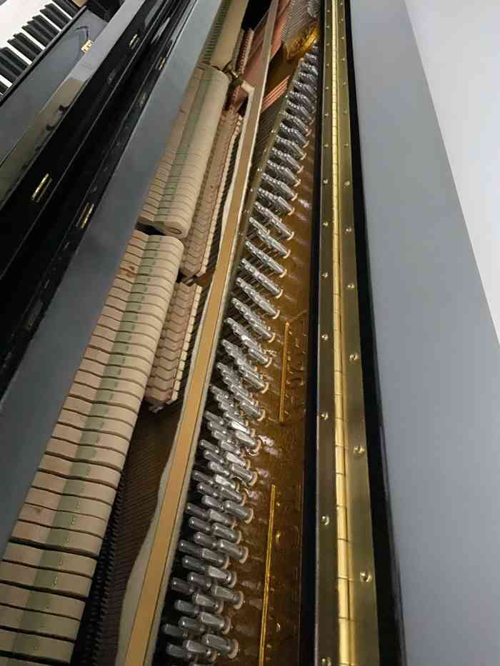 打分 柏韵琴行来调琴的小哥哥技术非常专业,态度热情,周到,细心.