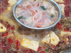 -绵阳森林雨鸭肠王火锅城(丽景花城店)