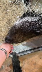 -酷嗒动物文化乐园(cutezoo西溪乐天城店)