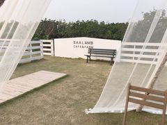 -小洲村