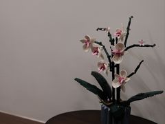 -Again Coffee Roaster(香蜜湖店)