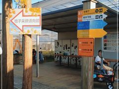 -前小桔亲子创意农场·草莓采摘·露营烧烤