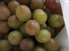 -马陆小张葡萄园农家乐