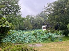 -盆景园(扬州大运河文化旅游度假区)
