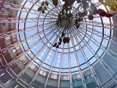 玻璃屋顶-济州岛泰迪熊博物馆