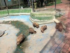 -水濂山森林公园