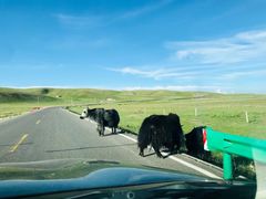 -青海湖国家重点风景名胜区