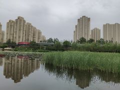 -前关湿地公园