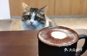 Oat Milk Chocolate