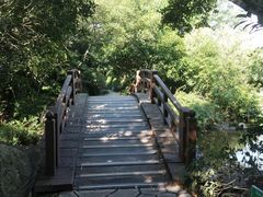 -桃花岛景观公园
