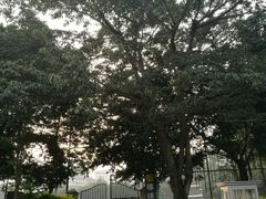 -金牛体育中心(金牛体育馆店)