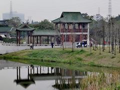 -王借岗森林公园