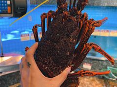 -协成海鲜火锅(情侣路店)