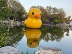 -扬州瘦西湖温泉