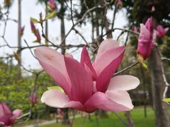 -烈士陵园(地铁站)