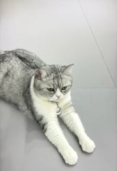 -我舞空间舞蹈培训