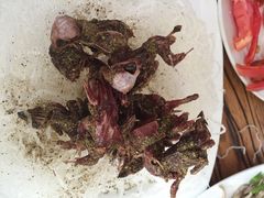 溢心园肉饼总店-溢心园香河肉饼总店