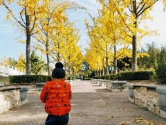 -大兴滨河森林公园