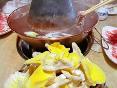 -仙蘑洞