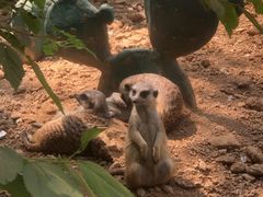 -辛玛王国游乐园