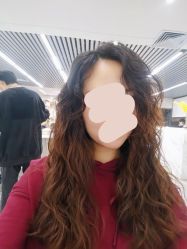 点击看大图 -木马造型
