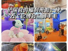 -东浩兰生上海世博展览馆