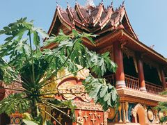 -半坡九号老挝冰咖啡