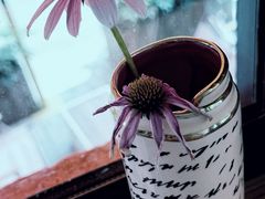 -Catch Bagel(芳草地店)