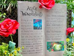 -正佳雨林生态植物园