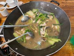 -鸭嘴鱼