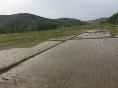 南泥湾风景区-南泥湾风景区