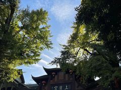 -青城山