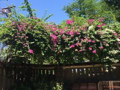 -Lam Vien Restaurant