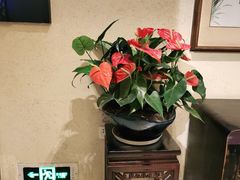 -滋粥楼·顺德菜海鲜茶点(方舟店)