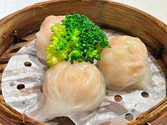 -新雅粤菜馆(南京东路店)