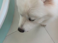 -怪兽屋·羊驼·猫咖·狗咖(俊华广场店)