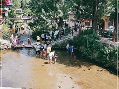 -Local泰莲庭(虹鳟鱼店)